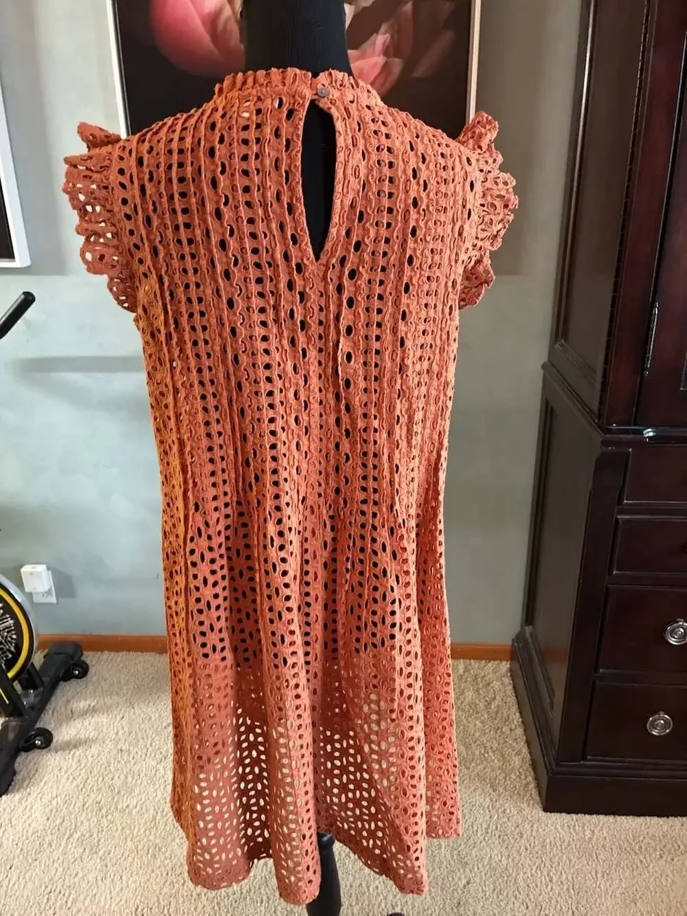 Madewell Eyelet Ruffle-Sleeve Pintuck Mini Dress in Mulled Cider Sz M A679